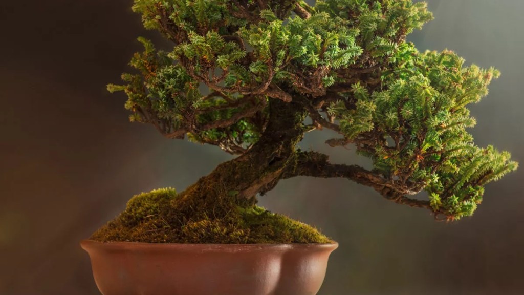 Nagomi der Kreativität: Frau malt auf Leinwand mit Farben