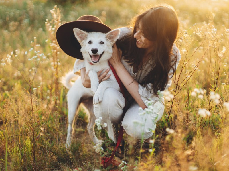 Kurzurlaub mit Hund