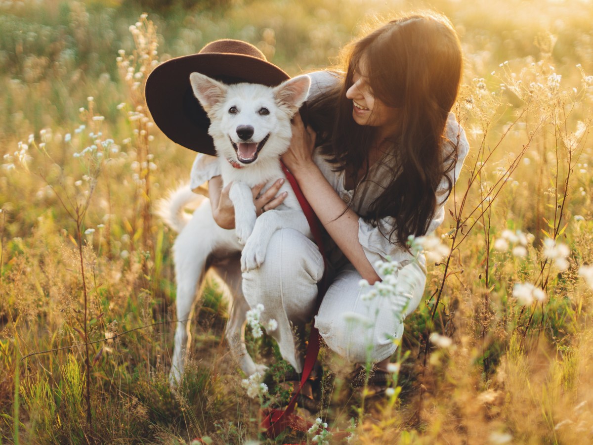 Hund: Diese 3 genialen Vorteile hat der Kurzurlaub mit dem Hund