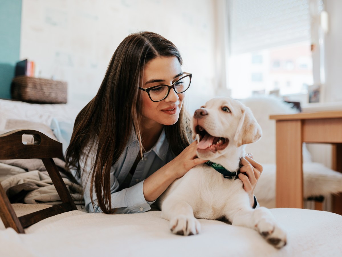 Hund: 3 Dinge, die du anstatt der Standard-Kommandos mit deinem Welpen lernen solltest