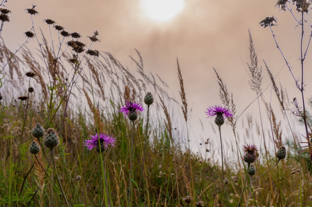 Besonders gegen Abend entsteht eine einzigartige Atmosph&auml;re.