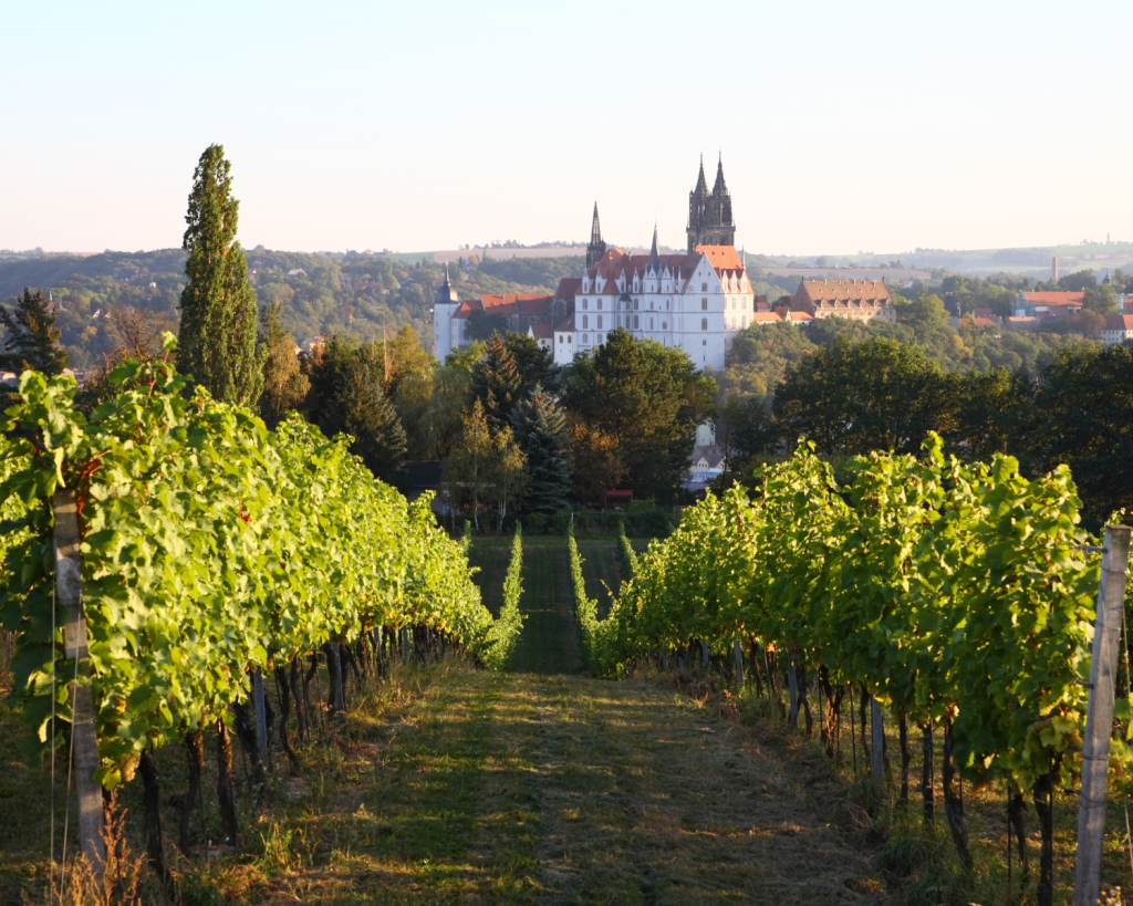 Nicht nur die Albrechtsburg, sondern auch die Umgebung ist traumhaft sch&ouml;n.
