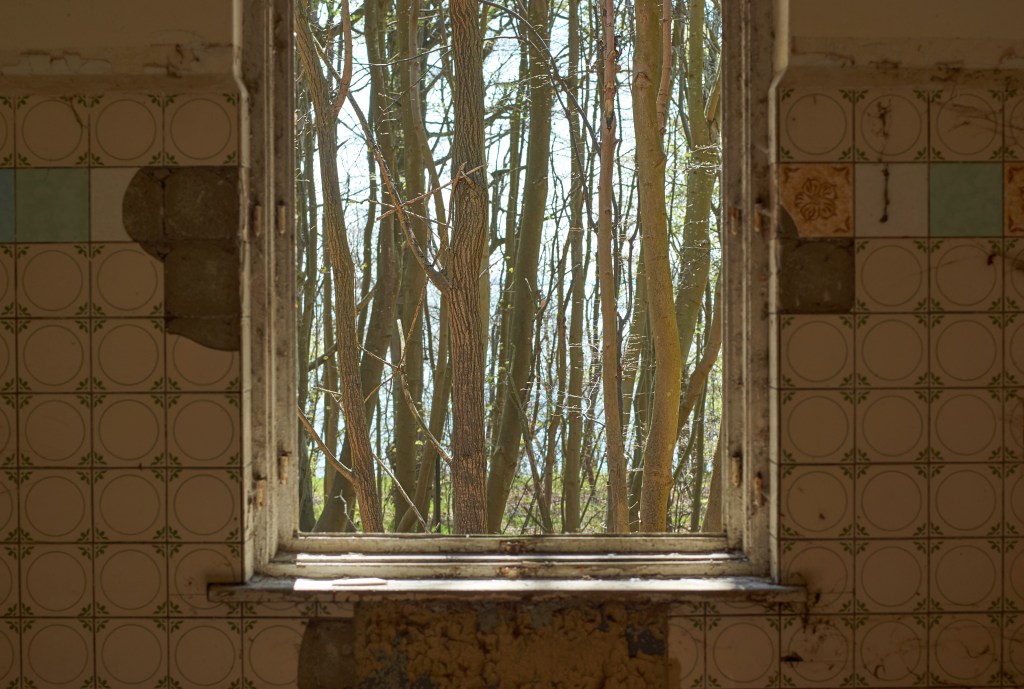 Auf dem Gel&auml;nde werden in regelm&auml;&szlig;igen Abst&auml;nden F&uuml;hrungen angeboten.