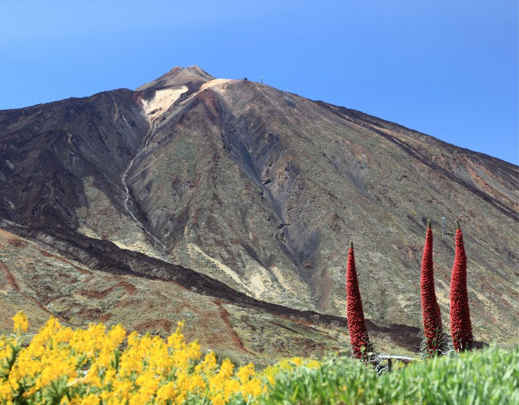 Kerze des Teide