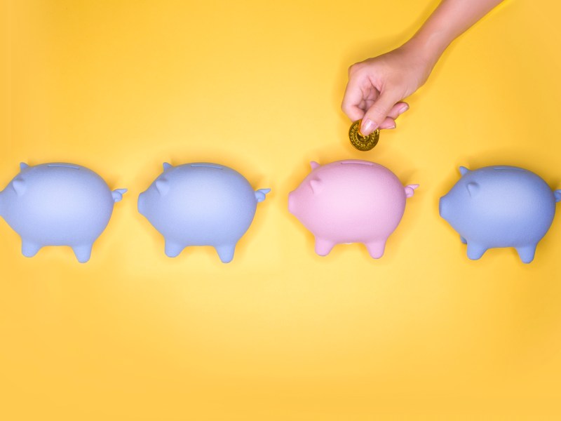 Hand steckt eine Münze in ein goldenes Sparschwein aus einer Gruppe bunter Sparschweine.