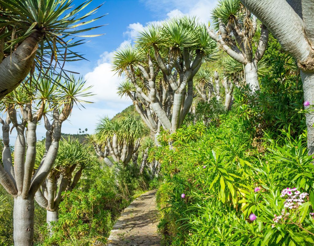 Jard&iacute;n Bot&aacute;nico