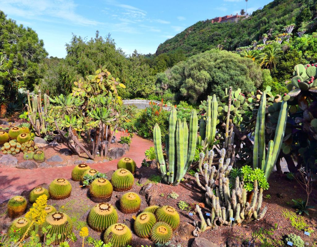 Jard&iacute;n Bot&aacute;nico