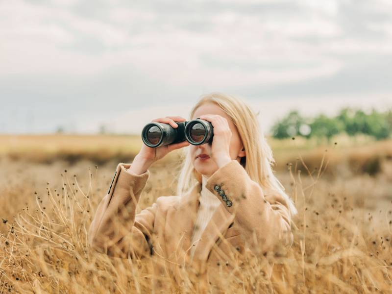 Micromanagement Überwachung