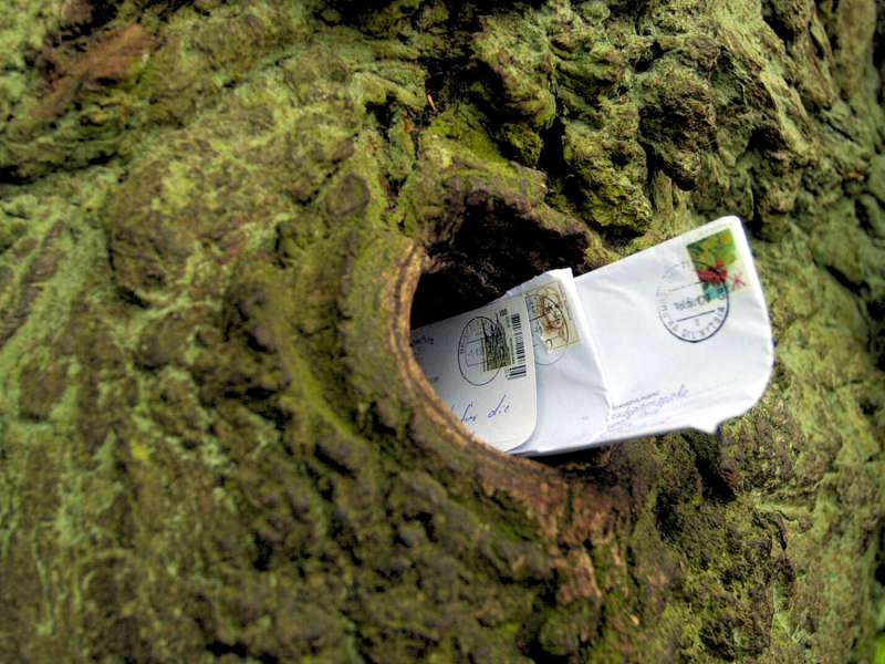 Eiche mit Briefen im Ast