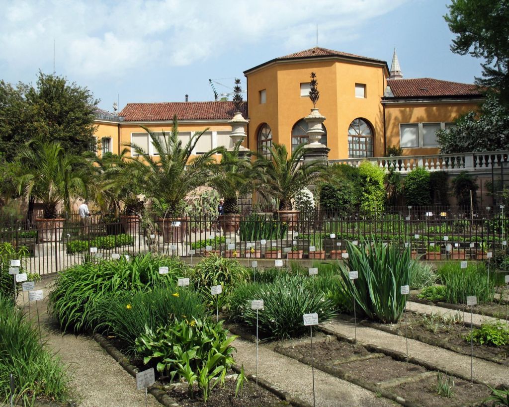 Botanischer Garten in Padua