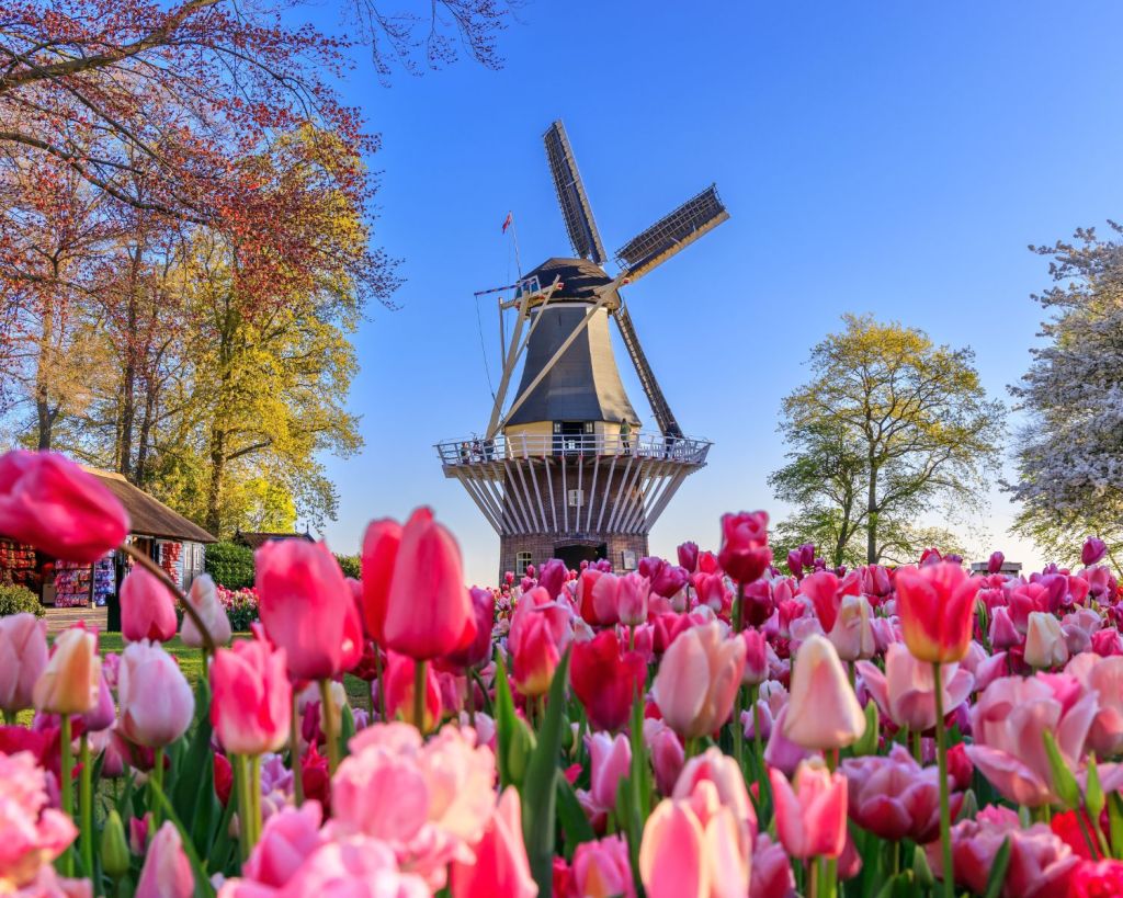 Keukenhof