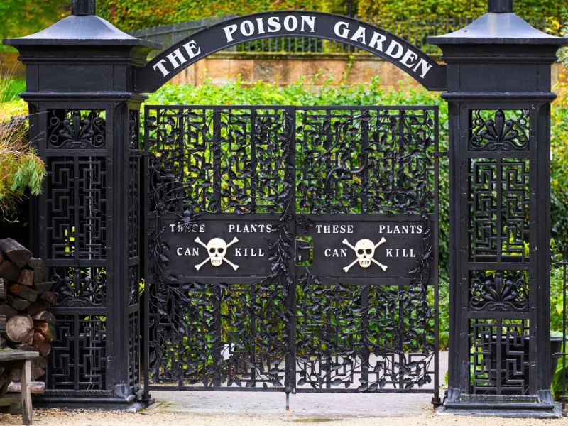 Poison Garden