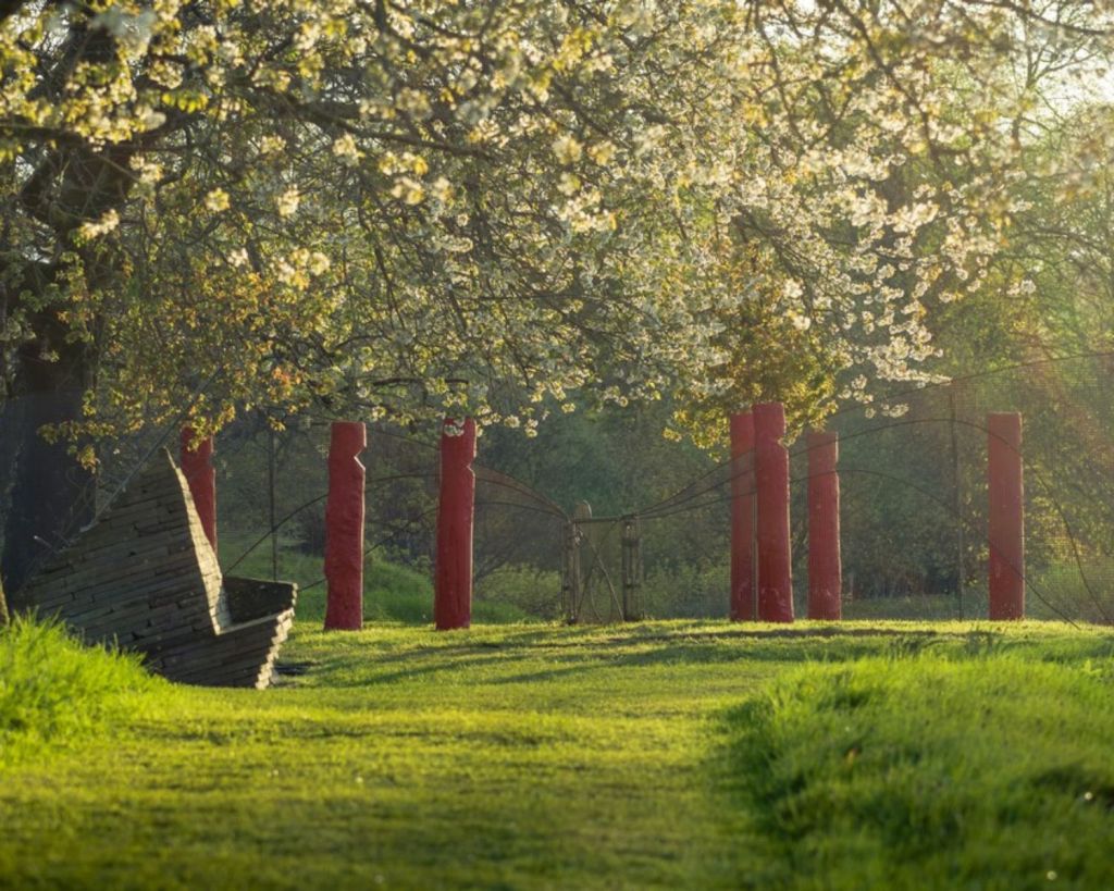 Gardens of Cosmic Speculations