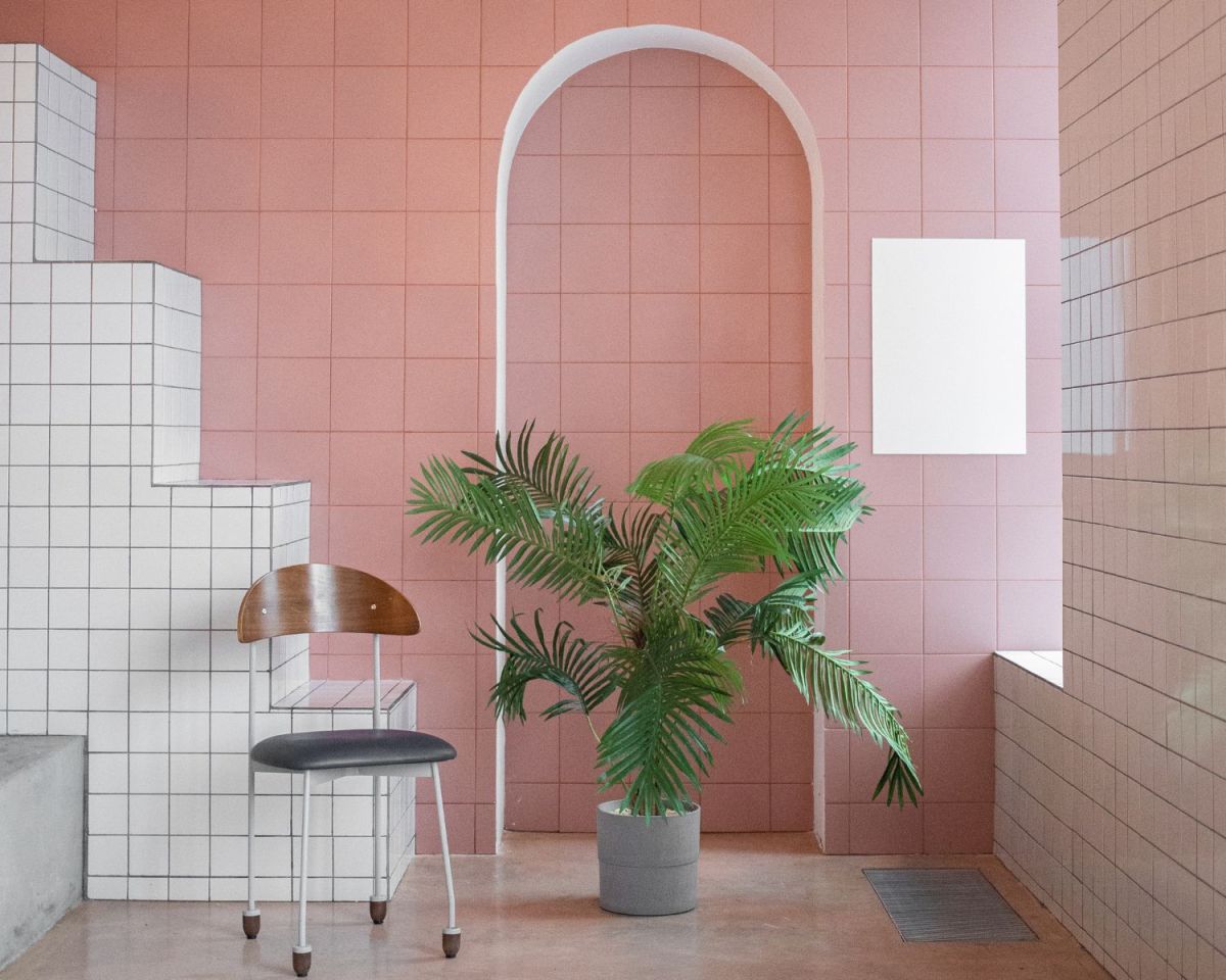 Monstera vor einer pinkfarbenen Wand und neben einem Stuhl