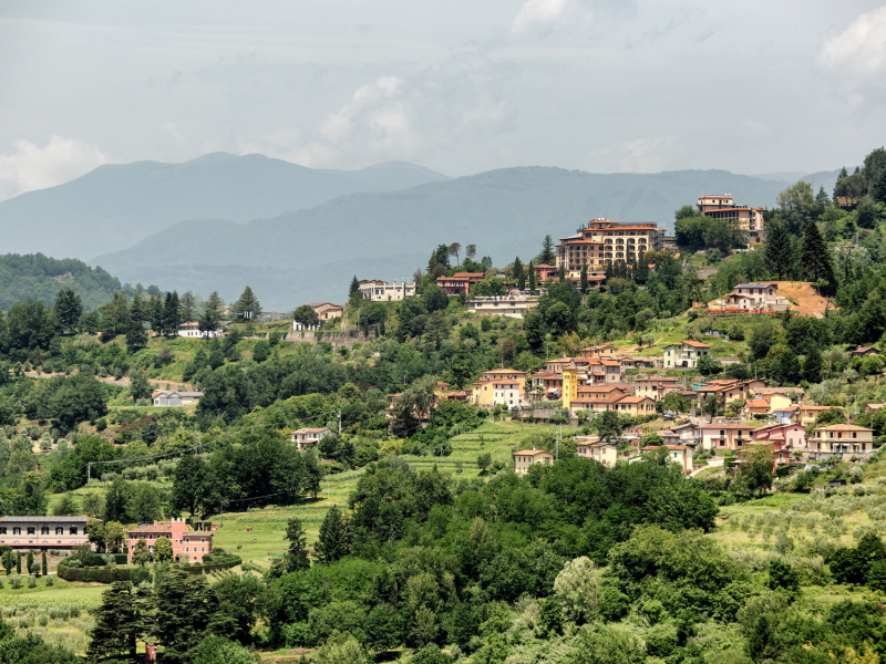 Barga
