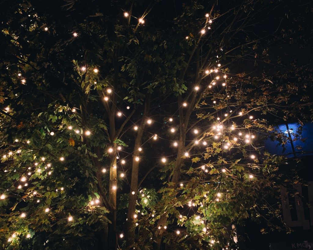 Lichterkette im Baum