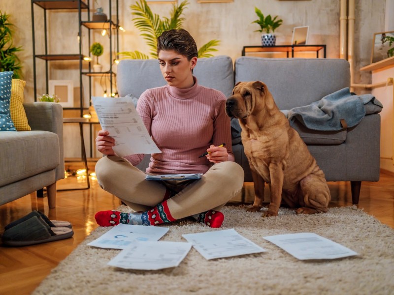 Junge Frau verwaltet Ausgaben und Rechnungen mit einem Hund an ihrer Seite zu Hause.