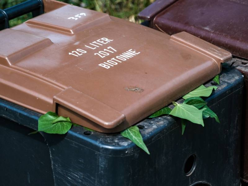 Mülltonne gereinigt und Wasser in den Gully gekippt? Das kann jetzt richtig teuer werden: Warum hohe Bußgelder drohen und wie du Ärger vermeidest.
