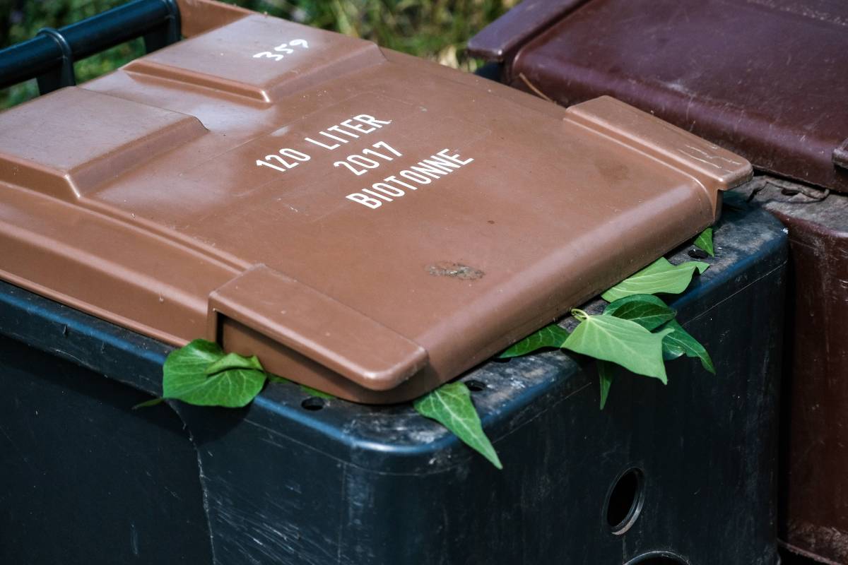 Mülltonne gereinigt und Wasser in den Gully gekippt? Das kann jetzt richtig teuer werden: Warum hohe Bußgelder drohen und wie du Ärger vermeidest.