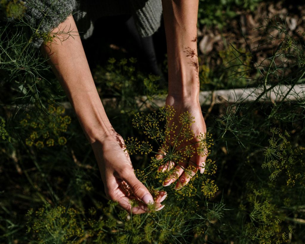 Frau h&auml;lt Pflanzen in der Hand
