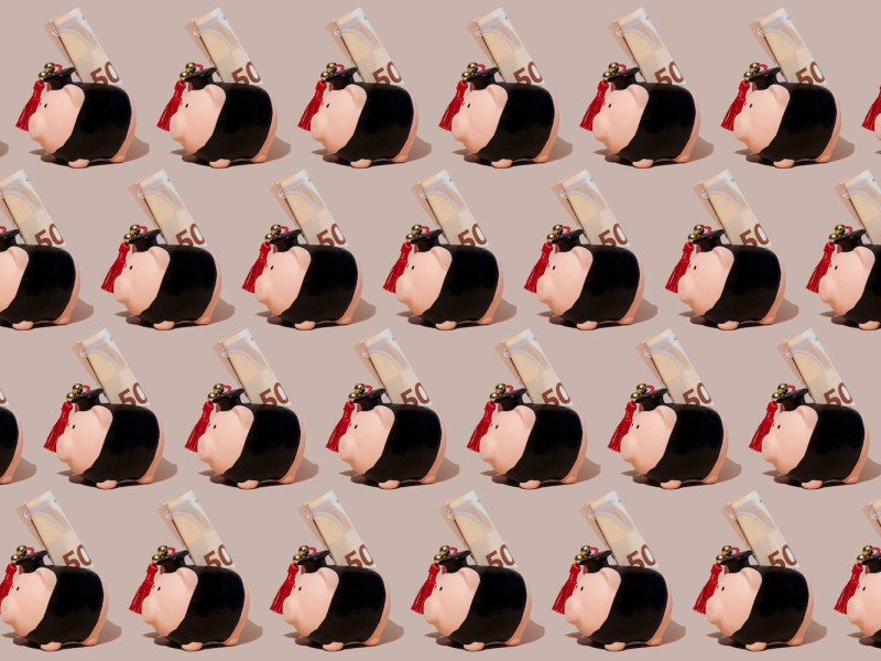 einige Sparschweine im Talar, in die jeweils ein gerollter 50-Euro-Schein eingelegt ist