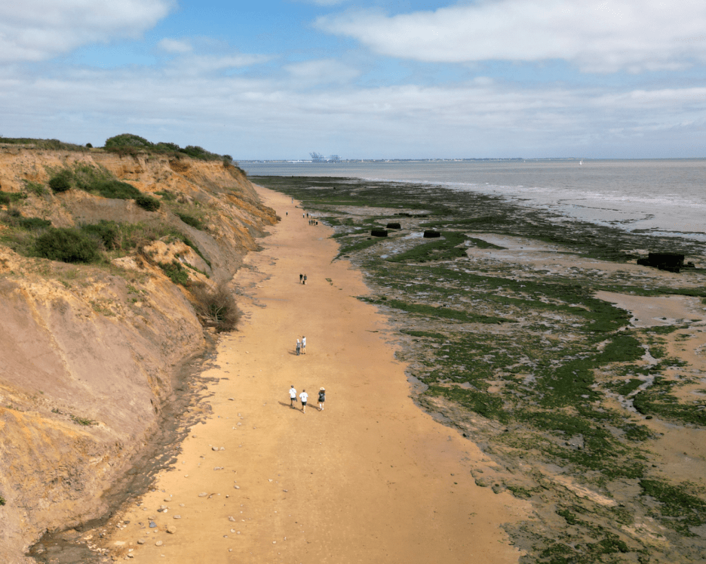 Der Strand von Walton-on-the-Naze in Essex, England, ist bekannt f&uuml;r seine Fossilien.