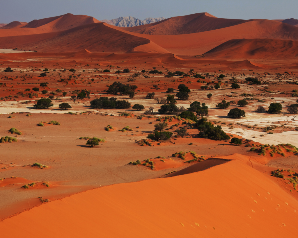 Die Namib ist etwa 95.000 km&sup2; gro&szlig; und liegt im Mittel knapp 500 Meter &uuml;ber dem Meeresspiegel.