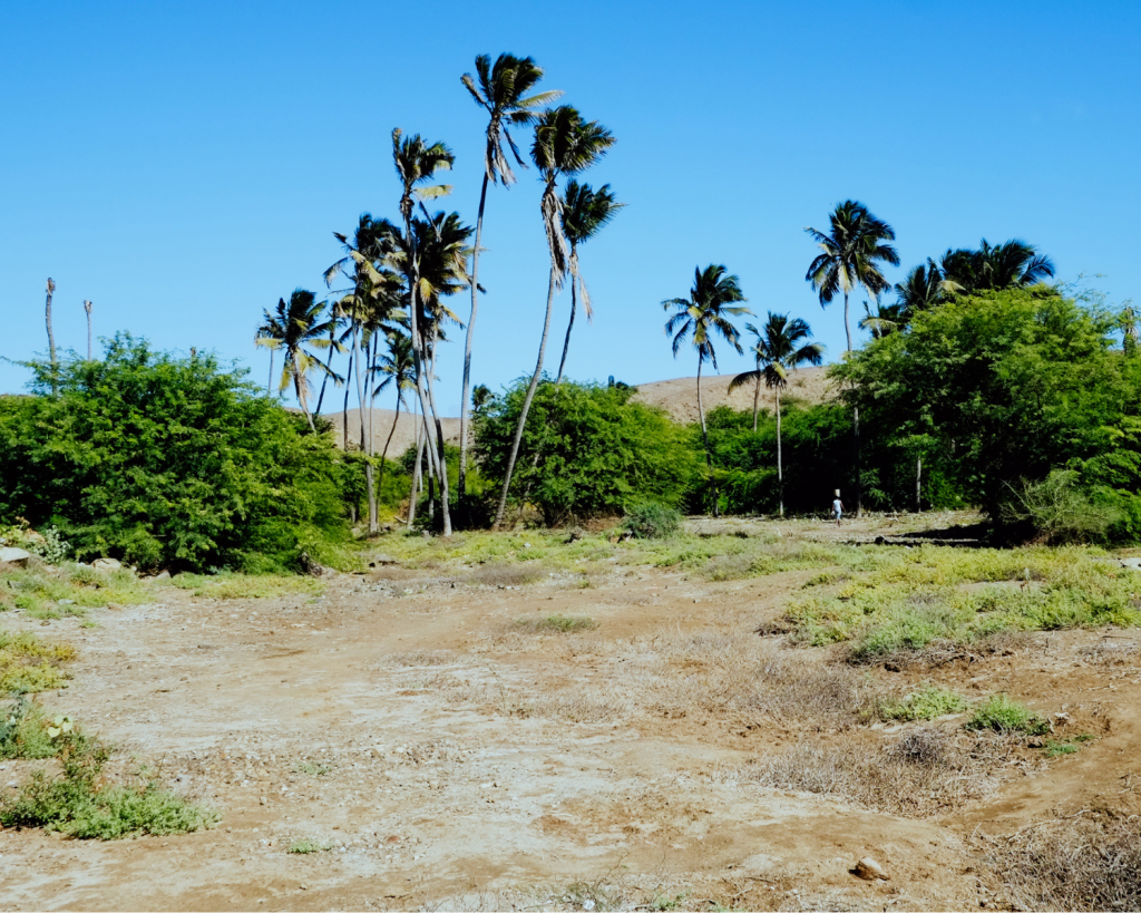 Maio ist f&uuml;r die Sandstr&auml;nde in der N&auml;he der Hauptstadt Cidade do Maio und im Norden nahe dem Dorf Morrinho bekannt. 