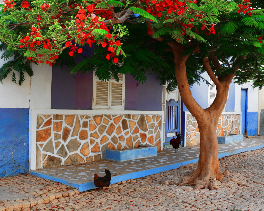 Die Hauptstadt der kapverdischen Insel Maio hei&szlig;t Cidade do Maio. Sie ist ein beschauliches St&auml;dtchen mit etwa 4.000 Einwohner*innen.