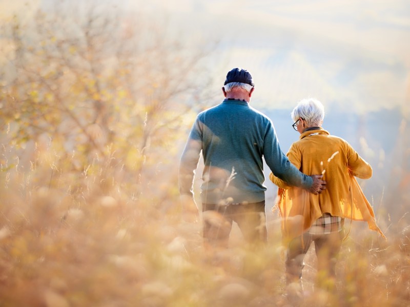 Rückansicht eines umarmten reifen Paares, das an einem Herbsttag den Hügel hinuntergeht.