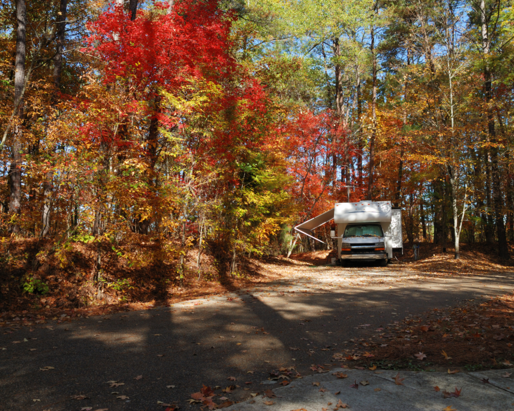 Rutschiges Laub auf der Stra&szlig;e sollte nicht untersch&auml;tzt werden.