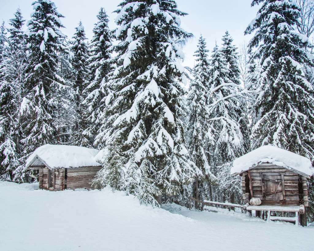 Vor allem Lappland zählt zu den beliebtesten Orten im Winter.