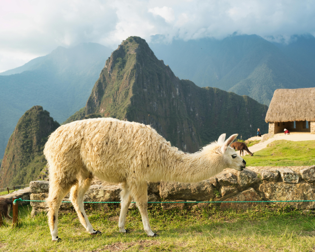 Unter den Top-Reisezielen 2026 ist beispielsweise Peru in Südamerika.