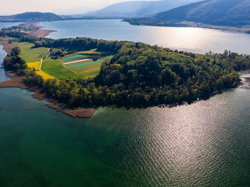 Geheimtipp Schweiz: Auf dieser Insel verbrachte ein bekannter Philosoph die „schönste Zeit seines Lebens“.
