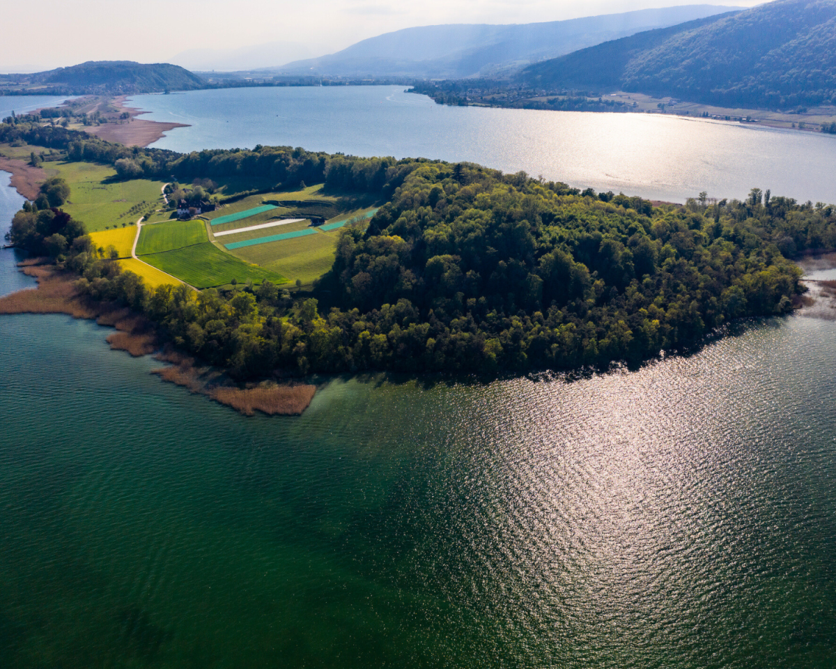 Geheimtipp Schweiz: Auf dieser Insel verbrachte ein bekannter Philosoph die „schönste Zeit seines Lebens“.
