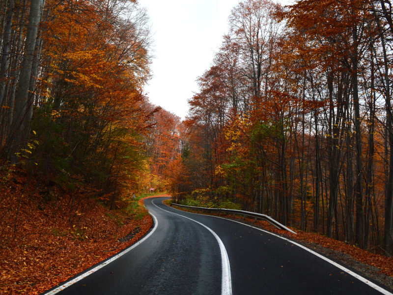 Vanlifer aufgepasst! Kälte, Dunkelheit, Nässe – 3 hilfreiche Tipps zum sicheren Fahren im Herbst.