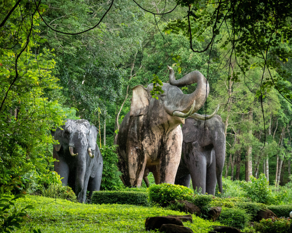 Die beste Reisezeit f&uuml;r Koh Chang liegt zwischen November und M&auml;rz. Diese Monate geh&ouml;ren mit Durchschnittstemperaturen von 27 &deg;C zu den k&uuml;hlsten des Jahres.