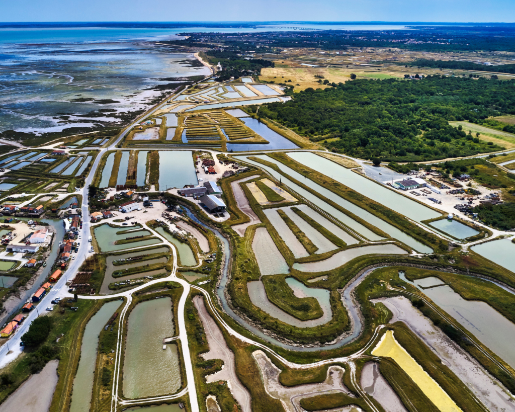 Die &Icirc;le d&rsquo;Ol&eacute;ron ist die zweitgr&ouml;&szlig;te franz&ouml;sische Insel in Europa. 