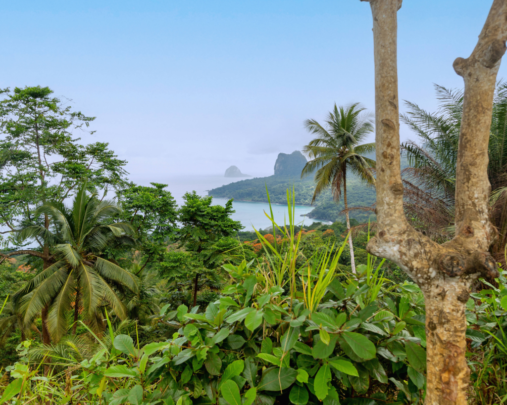 Am 29. Mai 1919 wurde Albert Einsteins Allgemeine Relativit&auml;tstheorie anhand einer Sonnenfinsternis erstmals experimentell best&auml;tigt.