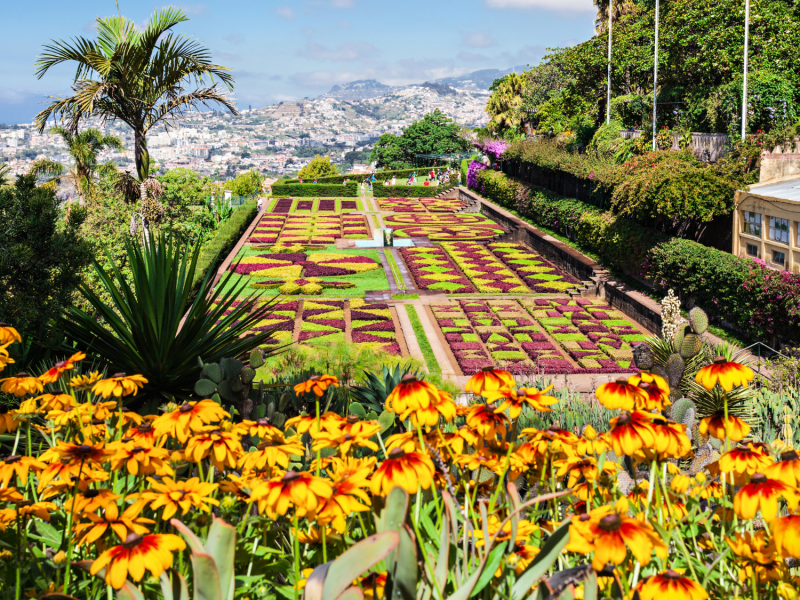 Madeira stellt eine wunderschöne Alternative zu den Kanaren dar.