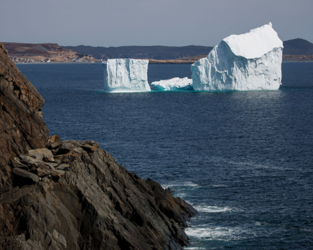 Neben den fantastischen Aussichten auf die Eisberge k&ouml;nnt ihr Delphine, Wale und die weltber&uuml;hmten Papageientaucher beobachten.