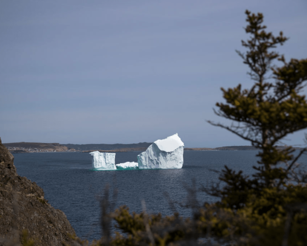 Und das Eis wird auch genutzt: Inzwischen gibt es Iceberg-Vodka, Iceberg-Gin und Iceberg-Rum, die alle ein tolles Mitbringsel aus dem Urlaub sind.