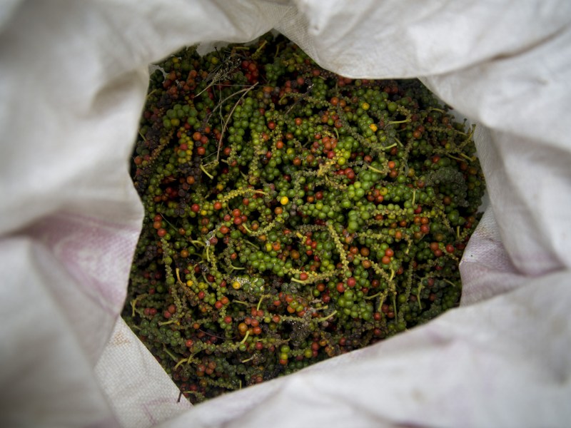 Pfeffer Körner in einem Sack