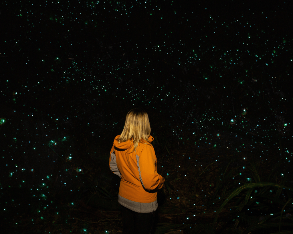  In den Waitomo Caves kannst du Tausende von leuchtenden Gl&uuml;hw&uuml;rmchen anschauen. Es gibt 5 Touren und 3 H&ouml;hlen.